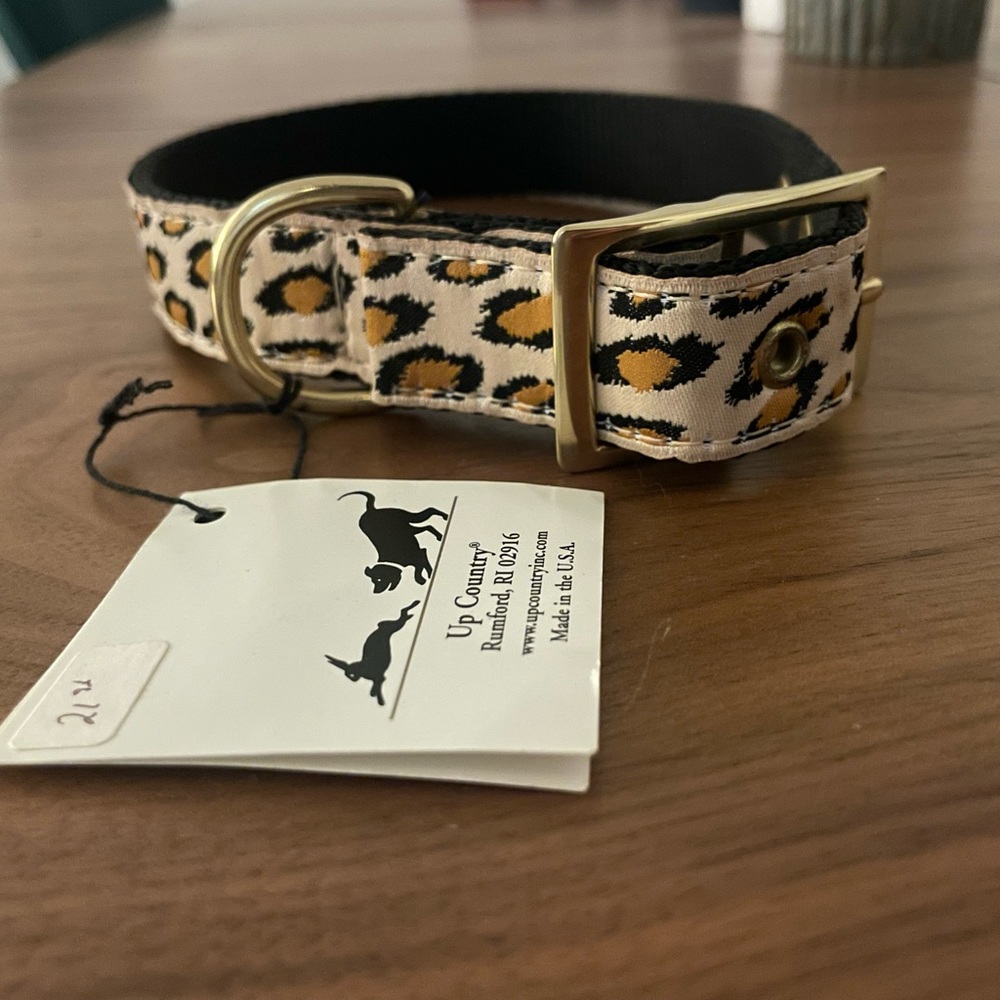 New Medium Upcountry Dog Collar